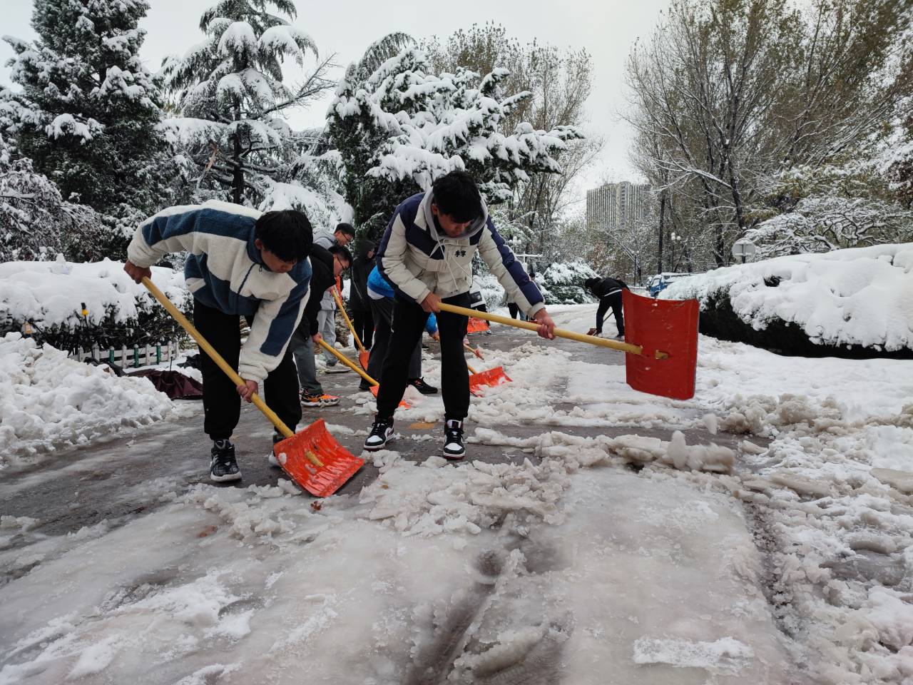 学生清雪照片图片